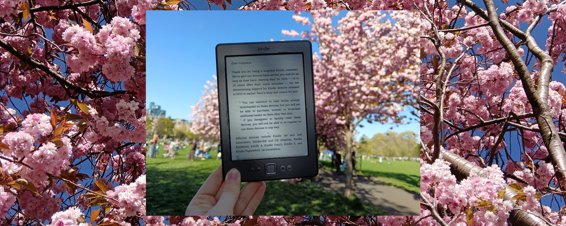In front of pink cherry blossom trees I hold up my Kindle which says it will no longer work