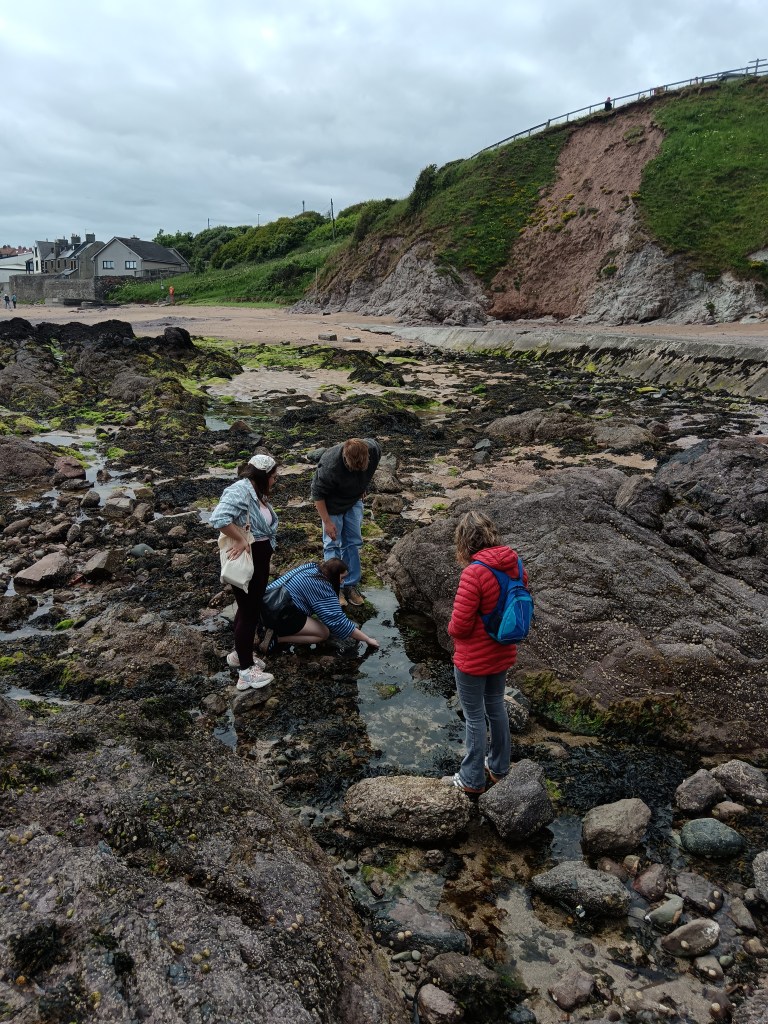 A group of people stand together looking into a rockpool