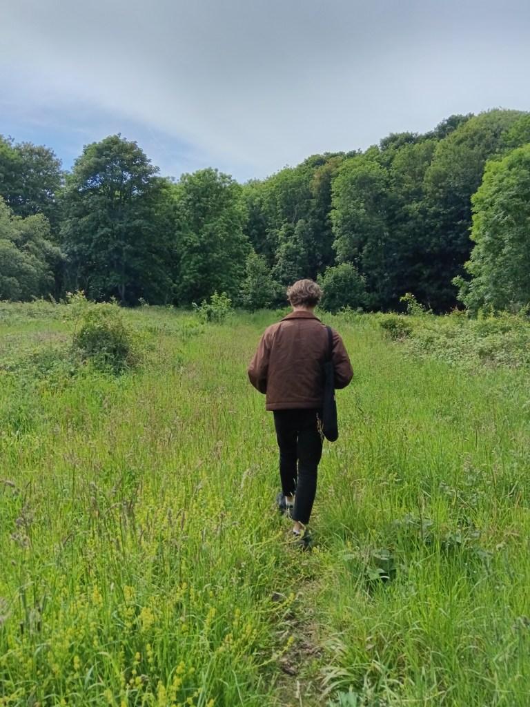 Kit walks through a grassy meadow