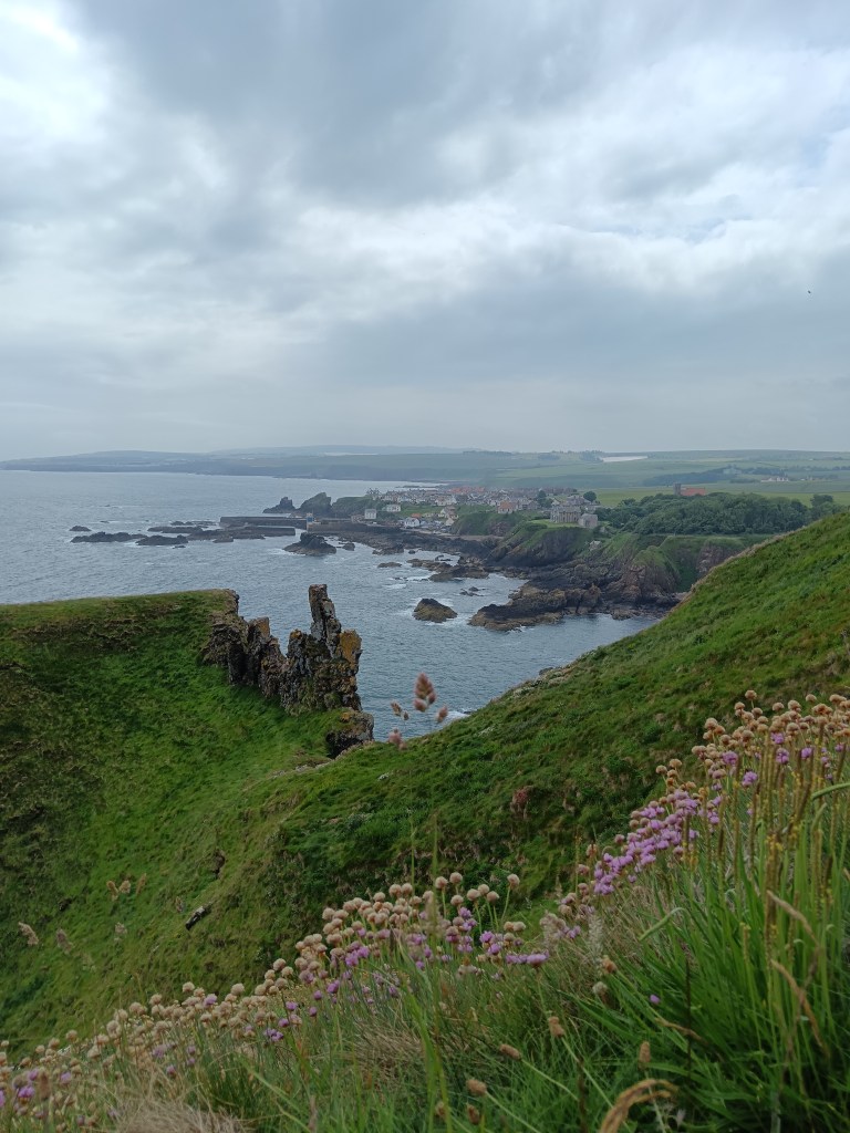 The coastline of St Abbs from the clifftop
