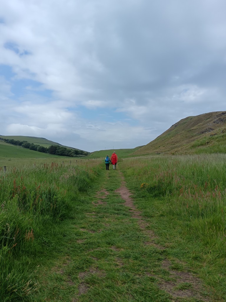 Two people walk along a grassy path