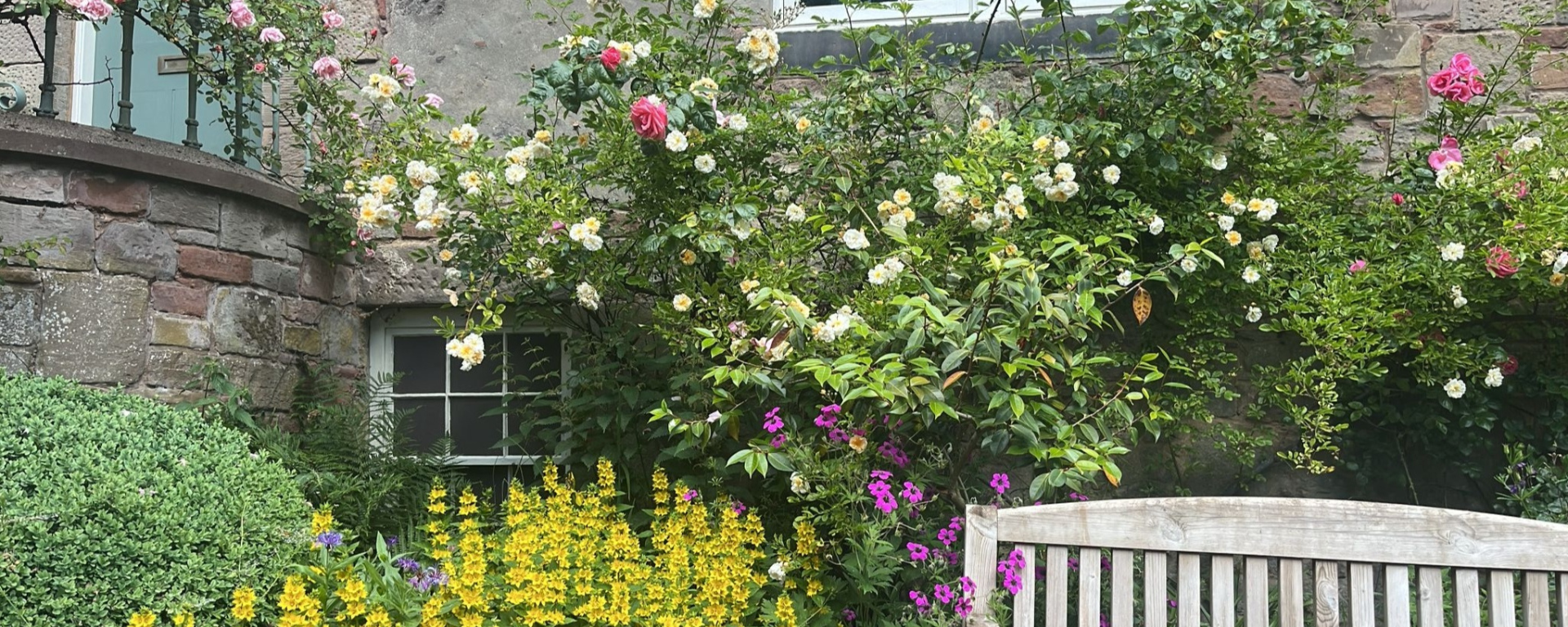 Outside a stone house, flowers grow on bushes around a bench