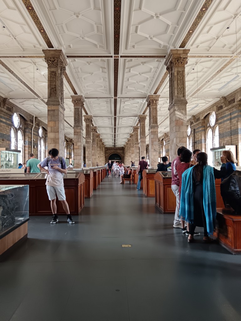 A large pillared hall with cases full of crystals